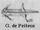 More Works by Guilhen de Peiteu